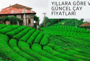 Yıllara göre çay fiyatları