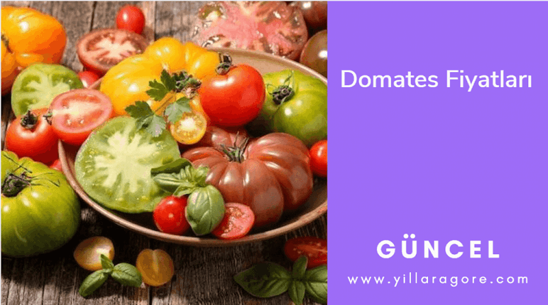 yillara-gore-domates-fiyatlari