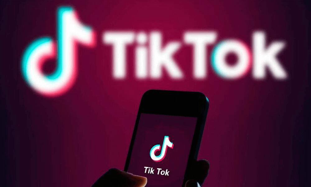 yıllara göre tik tok kullanıcı sayıları